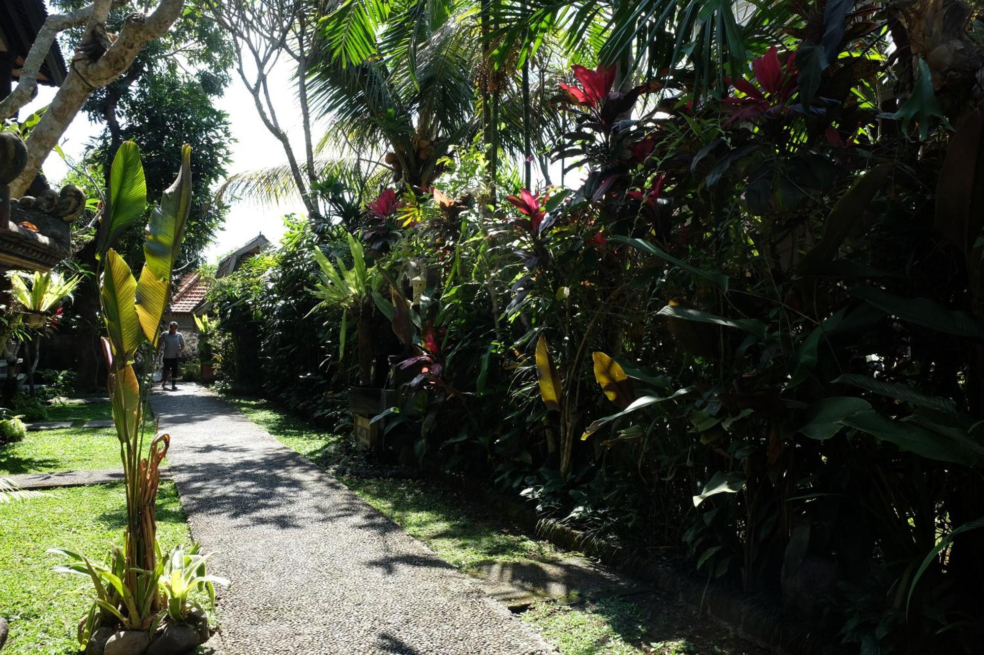 Suastika Guest House Ubud 외부 사진