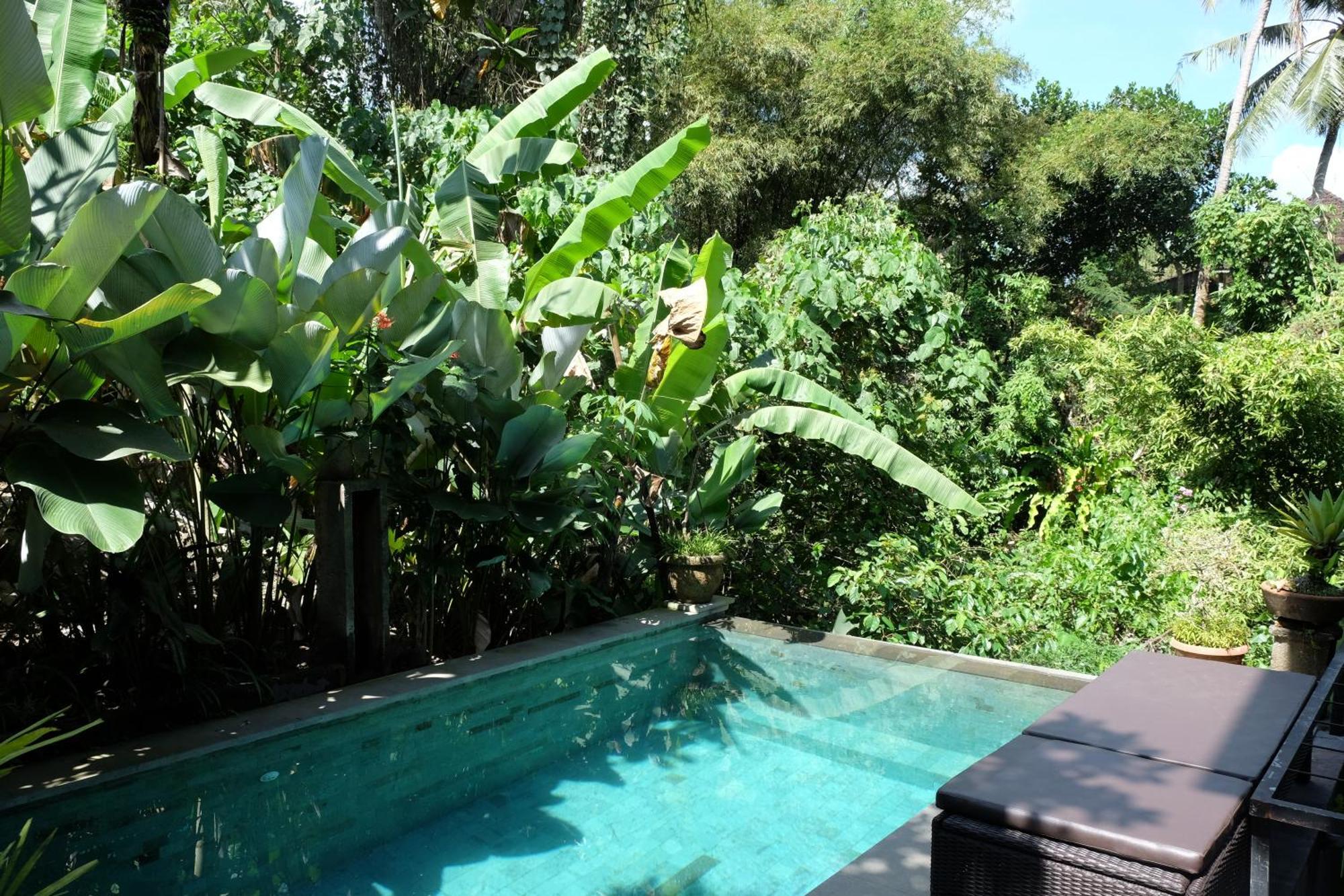 Suastika Guest House Ubud 외부 사진